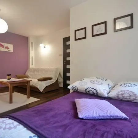Apartamenty Lawendowe Krynica-Zdrój Exterior foto